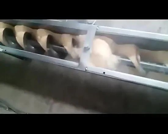 Carbon Steel Screw Auger Spiral Conveyer Wheat Maize Sorghum Grain Screw Conveyors